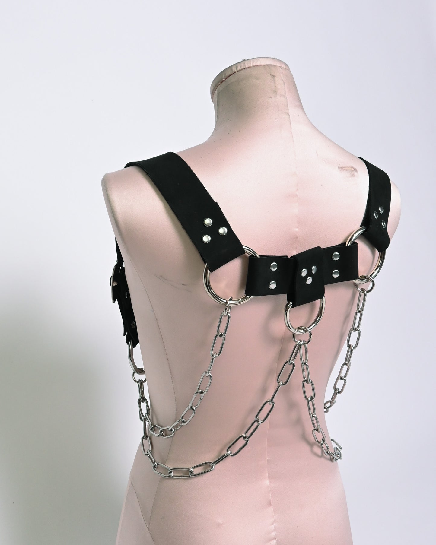 MOSES' harness