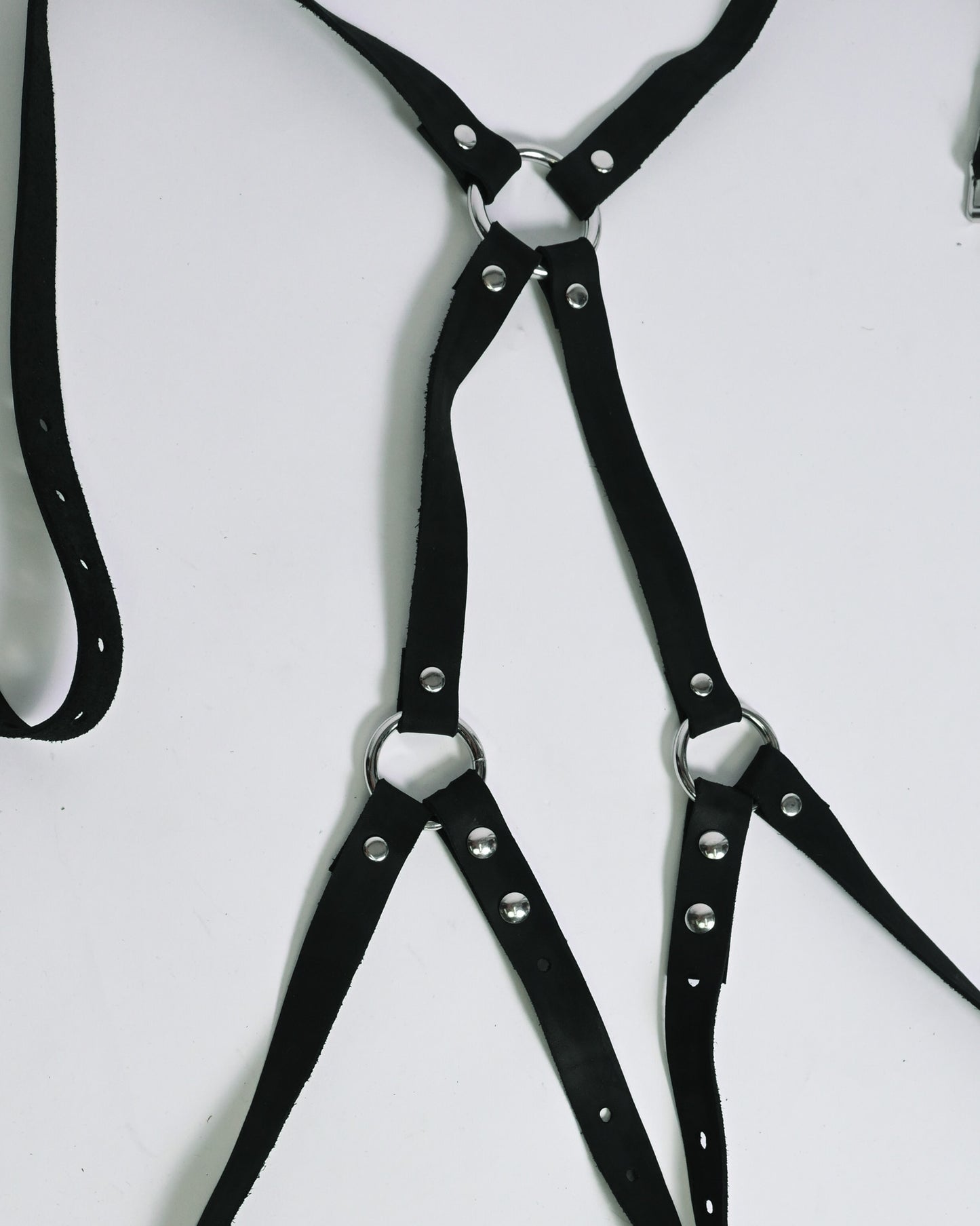 DANTE'S booty harness